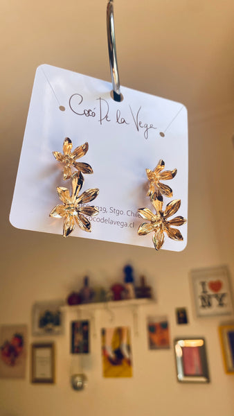 AROS CARINA