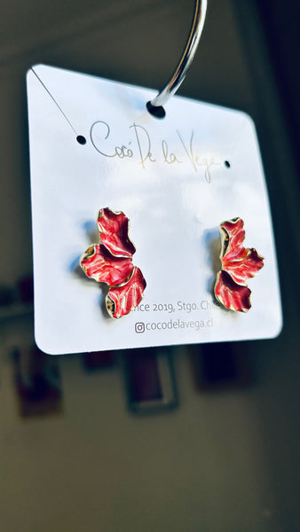 AROS GRACIELA