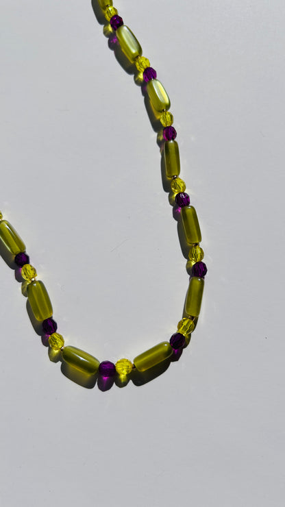 COLLAR 🌈